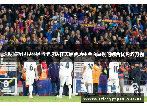 深度解析世界杯经验型球队在关键赛场中全面展现的综合优势潜力强